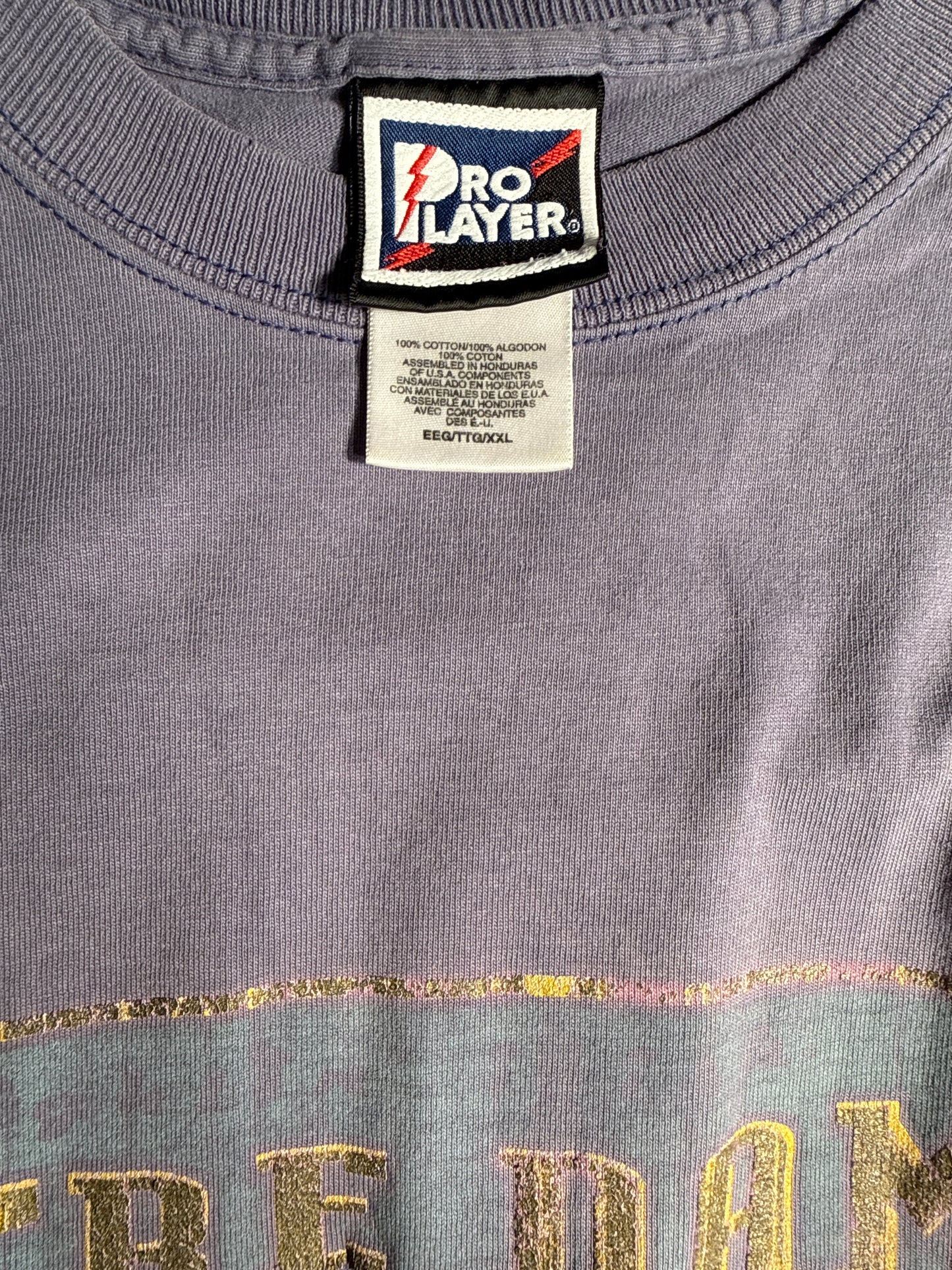 Vintage 90s Notre Dame Fighting Irish Pro Player Faded Graphic Tee