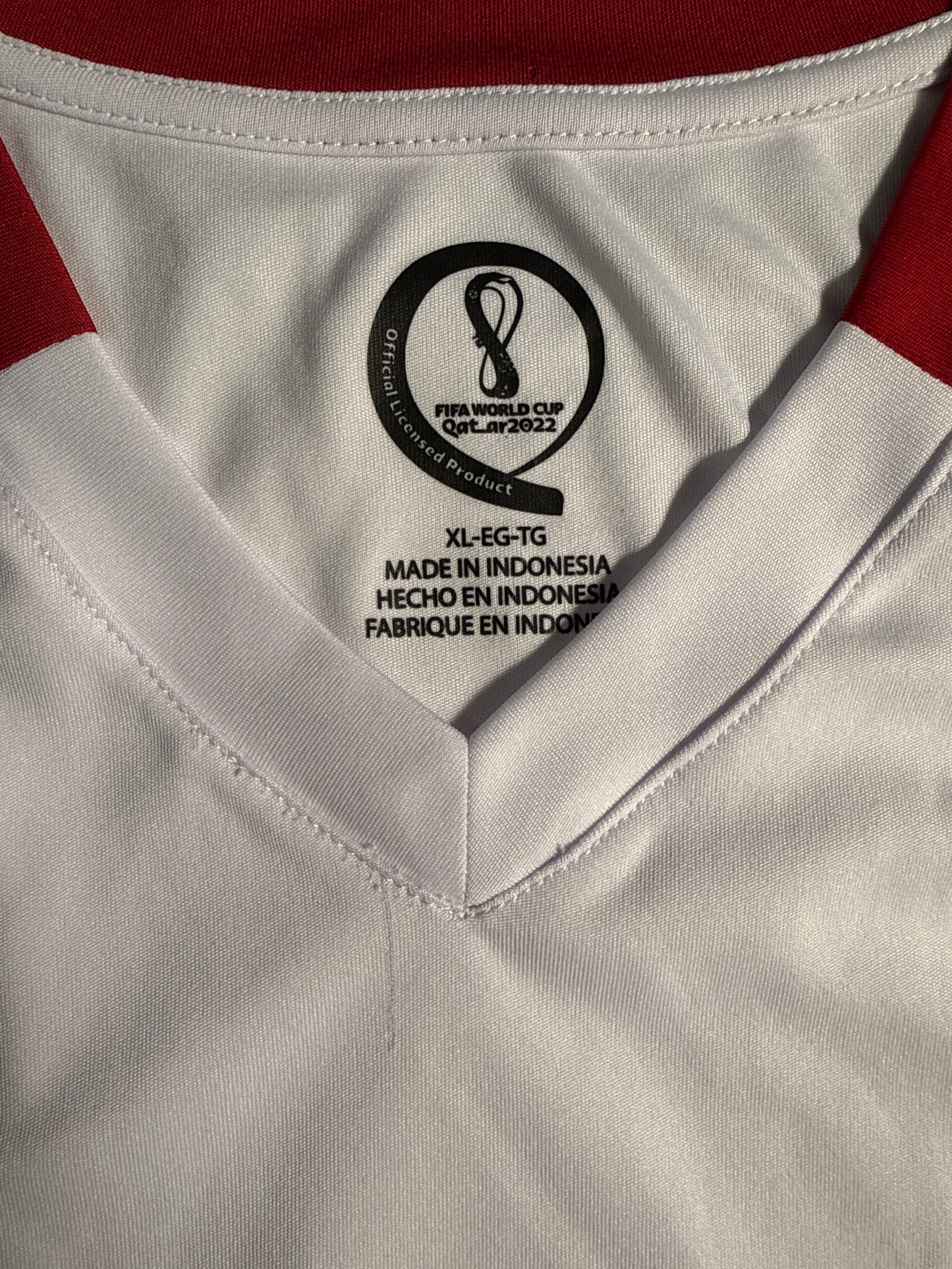 Official FIFA World Cup Qatar 2022 Poland Soccer Fan Jersey