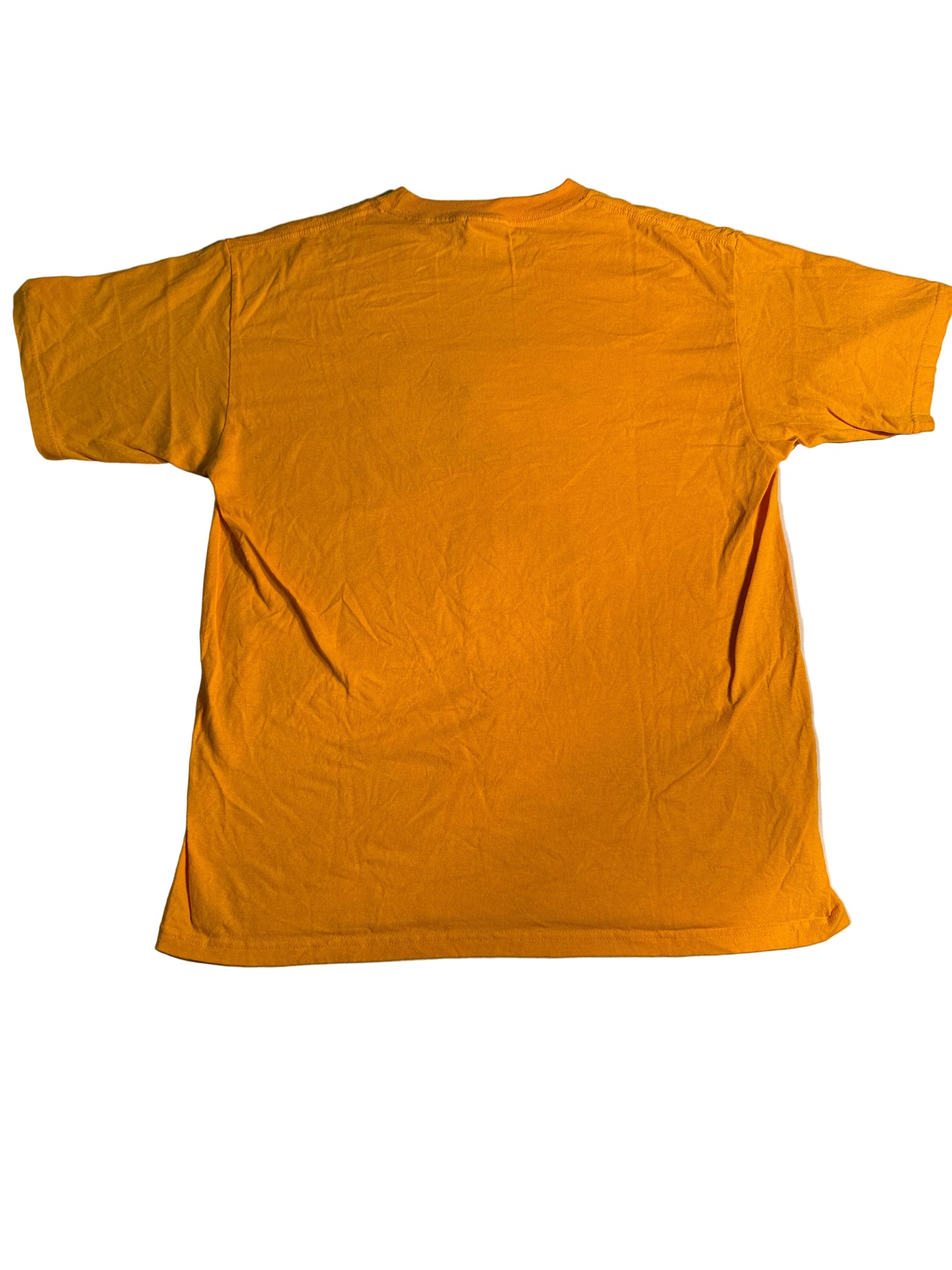 Puerto Peñasco Embroidered Dolphin Souvenir Tee
