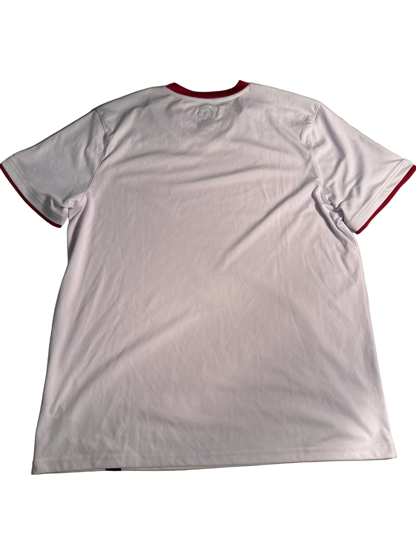 Official FIFA World Cup Qatar 2022 Poland Soccer Fan Jersey