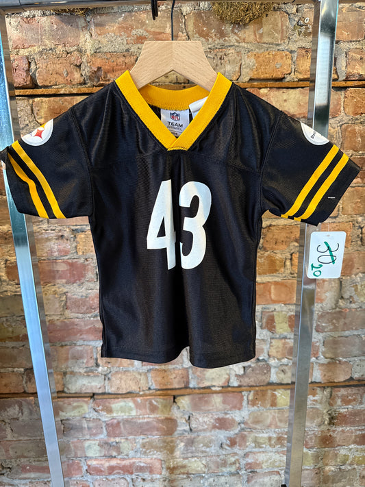 Steelers Polamalu Jersey