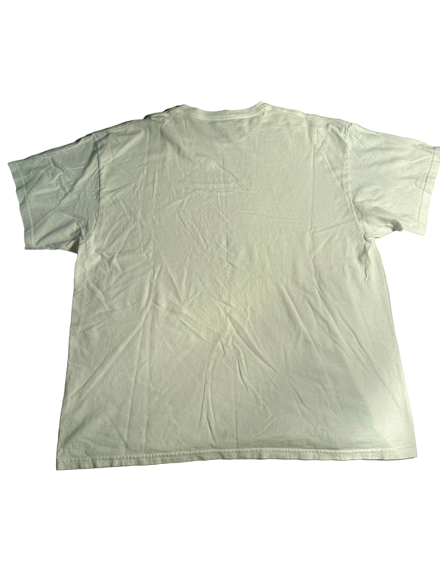 Vintage Florida “The Sunshine State” USA Flag Tee