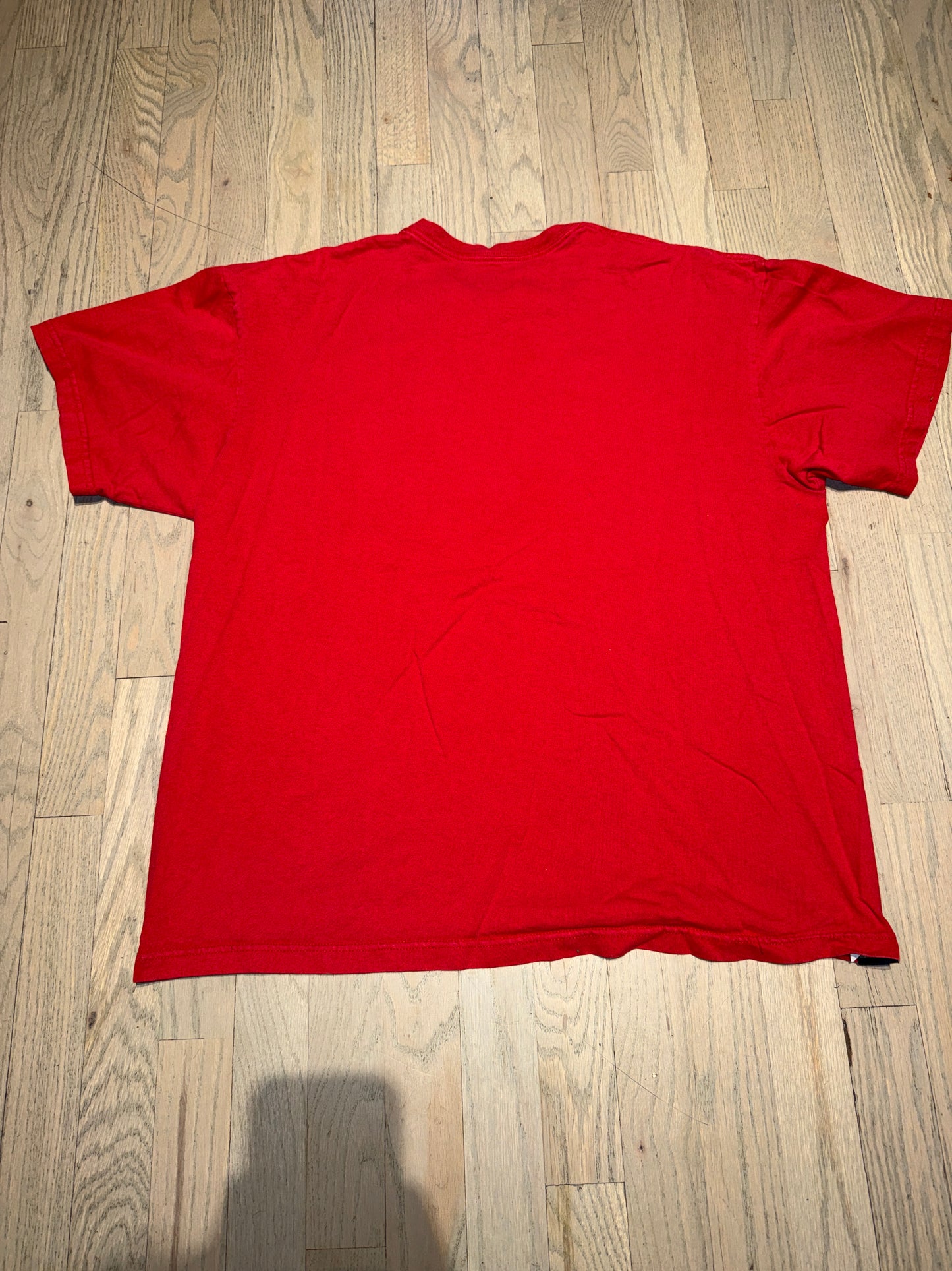 2014 Wisconsin Final Four Tee